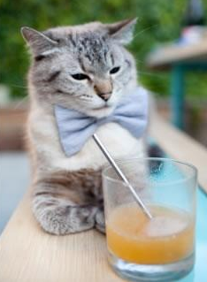 青训链条，从广东队到总决赛，马刺体系的英格拉姆接管时刻