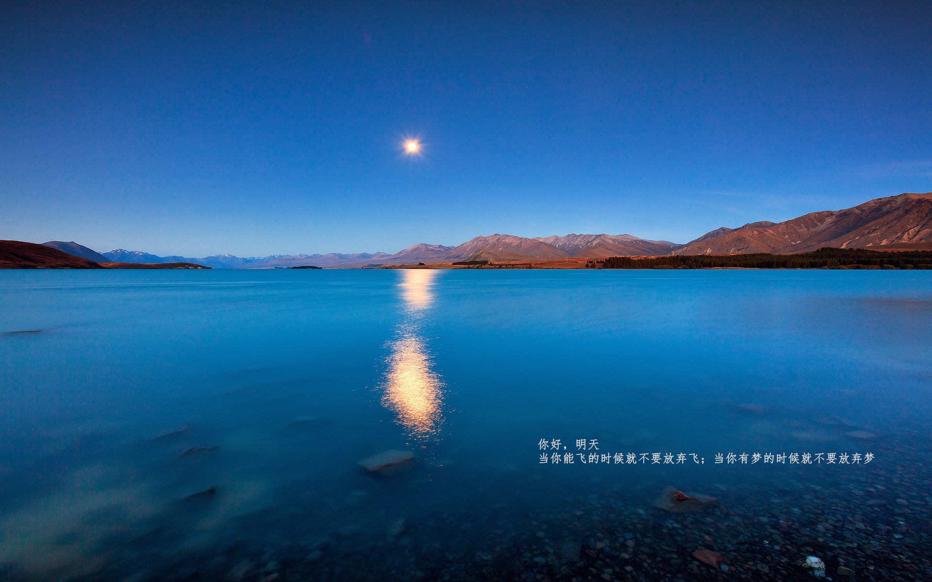 开云APP-虚拟赛场新疆碾压雄鹿？文班亚马惊世数据戳破幻觉！